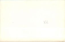 Wellington - New Zealand