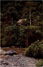 Ecuador - Puyo