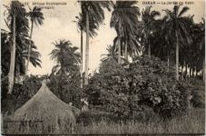 Senegal - Dakar