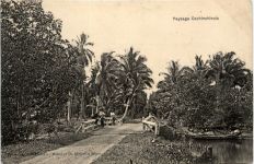 Paysage Cochinchinois