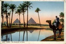 Cairo - The Pyramids of Gizeh