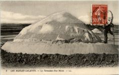 Les Mairais Salants