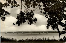 Segelregatta auf dem Scharmützelsee