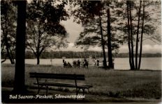 Bad Saarow-Pieskow, Schwanenwiese