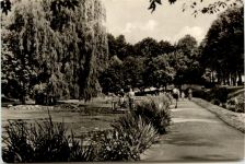 Zeitz, Schwanenteich