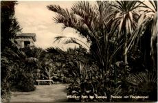 Wörlitzer Park, Palmen mit Floratempel