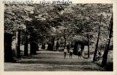 Bad Lauchstädt, Kurpark