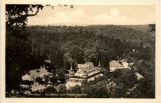 Alexisbad, Waldblick vom Birkenhäuschen