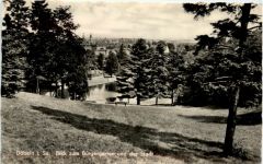 Döbeln, Blick zum Bürgergarten und der Stadt
