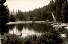 Waldbad Auerbach-Brunn Vogtl.,
