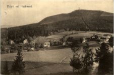 Hayn mit Hochwald