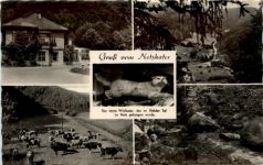 Kurort Ilfeld, Ilfelder Tal, Gruss vom netzkater, div. Bilder