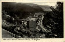 Kurort Wildemann Oberharz, im Spiegeltal