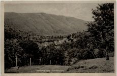 Ilsenburg, Totalansicht