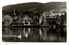 Ilsenburg, Forellenteich