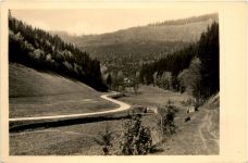 Schönbrunn, Thür. Wald, im schönen Tannengrund