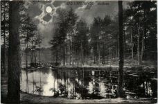 Bad Lippspringe, Waldsee