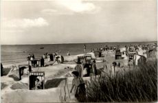 Ostseebad Prerow/Darss, Strandleben