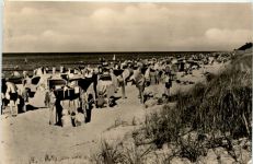 Seebad Zingst, Strand