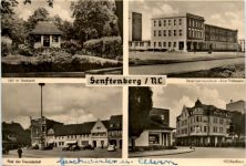 Senftenberg, div. Bilder