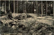 Partie im Grillenburger Wald, Warnsdorfer Quelle