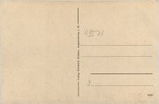 Augustusburg im Erzgeb., uralte linde im Schlossgarten