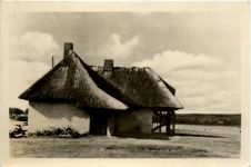 Hiddensee, Blick zum Dornbusch