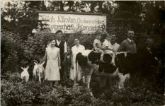 Hohenstein- Ernstthal - Gärtnerei