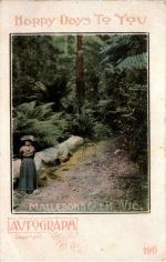 Victoria - Mallesons glen