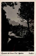 Madeira - Levada de Ribeiro