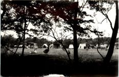 Renesse - Camping Wilhelminahoeve