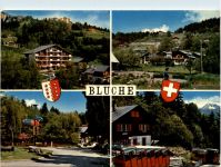 Bluche s Montana - Crans