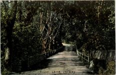 Jersey - Rozel Lane