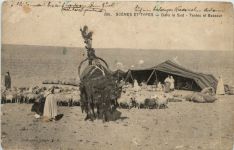 Sans le Sud - Tentes et Bassour