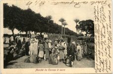 Egypt - Marche de Cannes a sucre