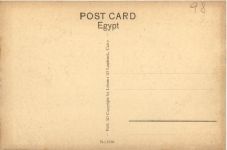 A young Egyptian Woman