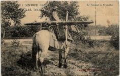 Bonjour du Littoral Belge - Le Pecheur de Crevettes Coxyde