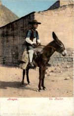 Aragon - Un Pastor