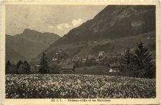 Chateau d Oex