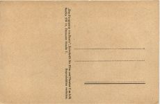 Viktor Staal - Schauspieler