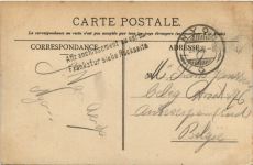 Nyon, Le Chateau et le Montblanc