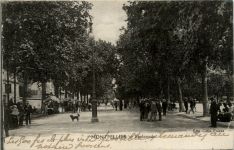 Montpellier, Esplanade