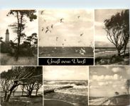 Gruss vom Darss, div. Bilder