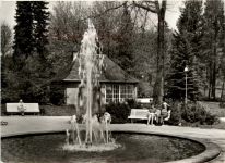 Bad Brambach, Schillerquelle