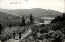 Schöneck i. V.
