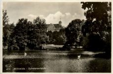 Mittweida, Schwanenteich