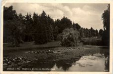 Limbach i.Sa., Stadtpark, Partie am Goldfischteich