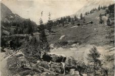 Bluntautal, Jagdhäuser g.d. Torrenerjoch
