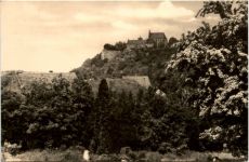 Mansfeld am Harz, Schloss