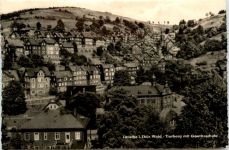 Lauscha, Tierberg mit Goetheschule